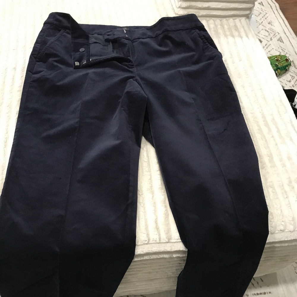 Talbots Blue Velvet pants